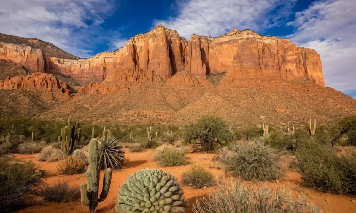 The Southwest offers a unique blend of rich cultural traditions